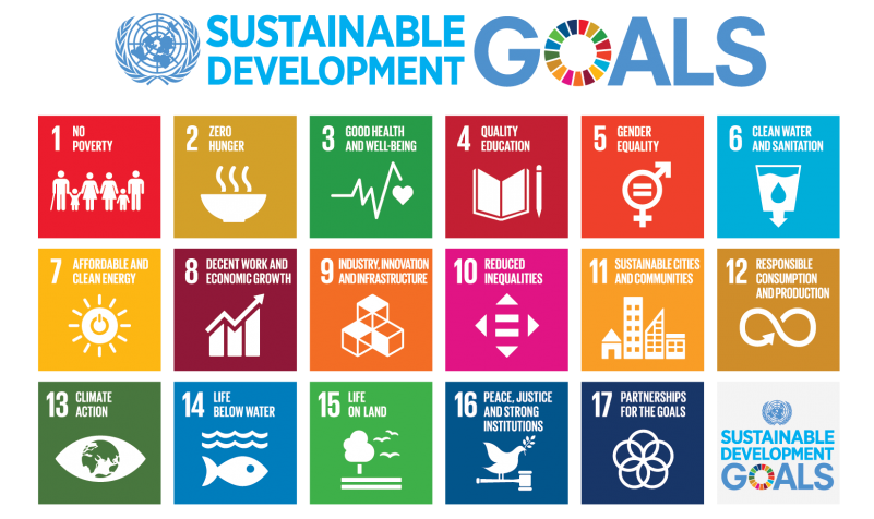 Development and Environment - Millennium Development Goals (MDGs) and Sustainable Development Goals (SDGs) for UGC NET Paper 1